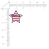 merica' star glitter pasties small