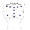 Glitz Nips Reflect My Star Pasties