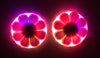 LED Nipple Pasties-Daisy Clickers by Sasswear - Sasswear